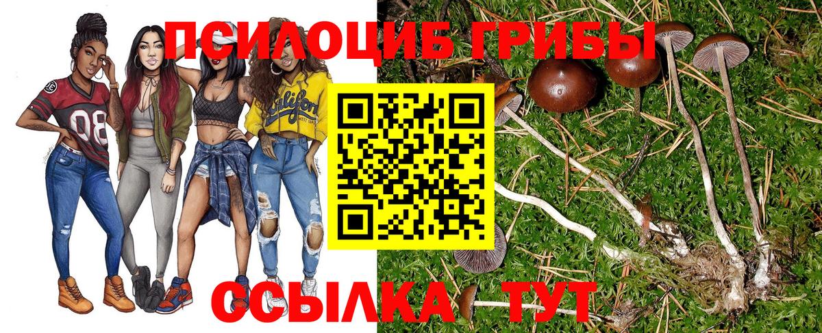 Ипатово  Галлюциногенные грибы ЛСД  Псилоцибиновые грибы MAGIC MUSHROOMS  Вход с VPN 